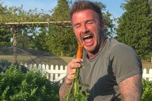 开云APP-贝克汉姆晒自家菜园视频：胡萝卜要收成了，怎么这么小……